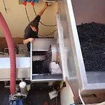 팜스테이 Tenuta Del Fontino *