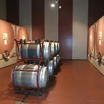 Tenuta Del Fontino 마사마리티마