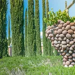 Tenuta Del Fontino