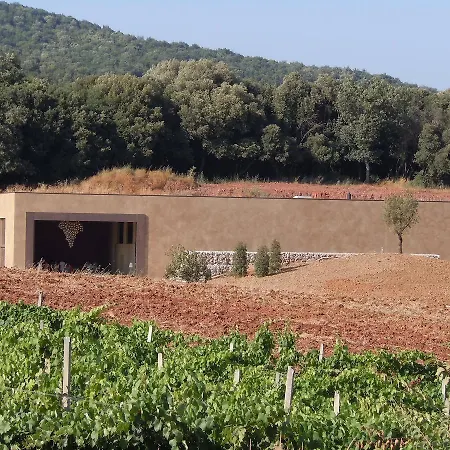 Tenuta Del Fontino * Massa Marittima