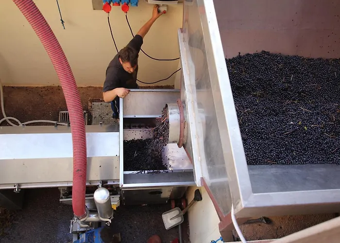 مزرعة للإقامة Tenuta Del Fontino *