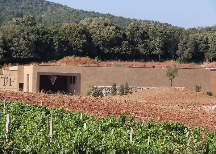 Tenuta Del Fontino * ماسا ماريتيما